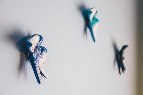 a group of birds flying in the air at Dom Uzdrowisko in Tolkmicko