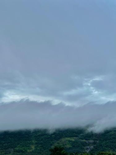 a view of a foggy valley with trees and clouds at BBC Luxury Apartments in Perintalmanna