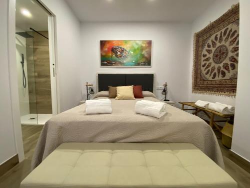 LA SUITE DES COULEURS - Apartamento en pleno centro de Córdoba