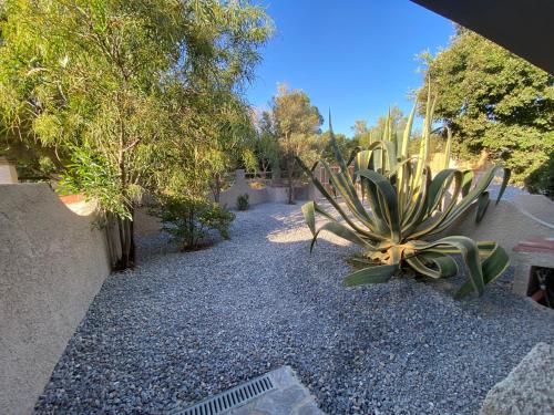 a garden with a cactus on a gravel path at Casa Teresa in Porto Pino
