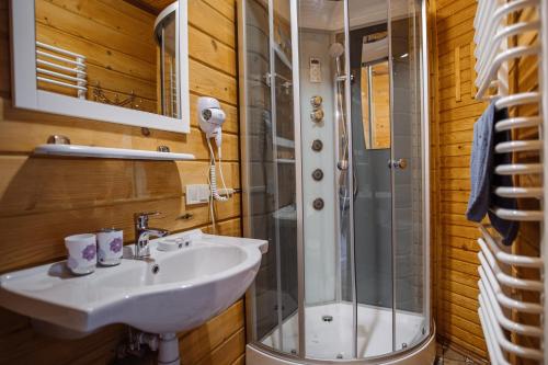 a bathroom with a sink and a shower at ЕкоСадиба Пан Атаман in Skhidnitsa