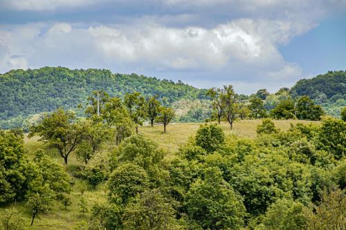 an open field with trees and mountains in the background at Apartmani Lunija in Gornji Milanovac
