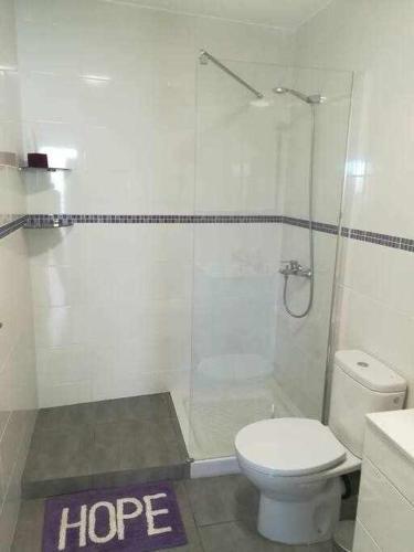 a bathroom with a toilet and a shower at Alojamientos Harizan in Agaete