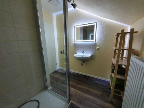 La salle de bains est pourvue d'une douche et d'un lavabo. dans l'établissement Ferienwohnung Am Bahnhof, à Hasselfelde