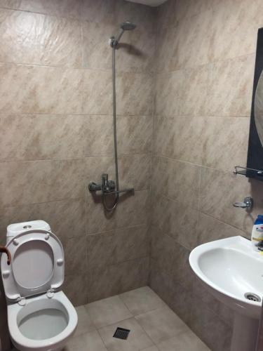 a bathroom with a shower and a toilet and a sink at Katerina in Bakuriani