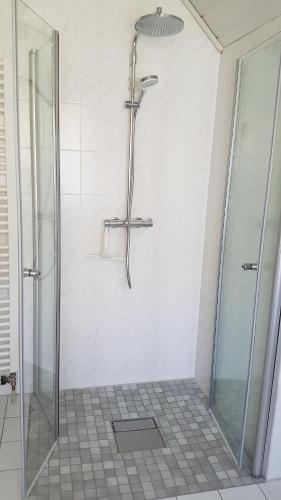 a shower with a glass shower stall in a bathroom at Ferienhaus am Waldrand Stedden in Stedden