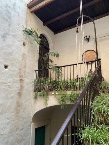 Φωτογραφία από το άλμπουμ του Palazzo Carratelli σε Amantea