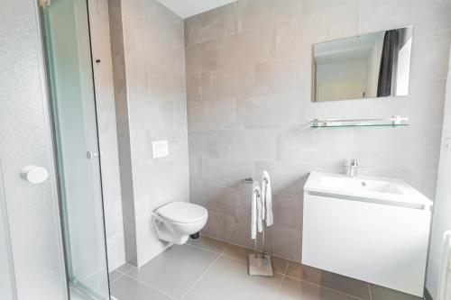 a bathroom with a toilet and a sink and a mirror at Esplanade Hotel in Diekirch
