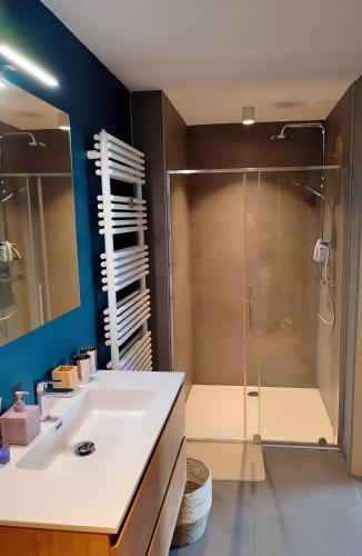 a bathroom with a shower and a white sink at Fredhousedurbuy 1 in Durbuy