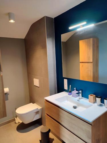 a bathroom with a sink and a toilet and a mirror at Fredhousedurbuy 1 in Durbuy