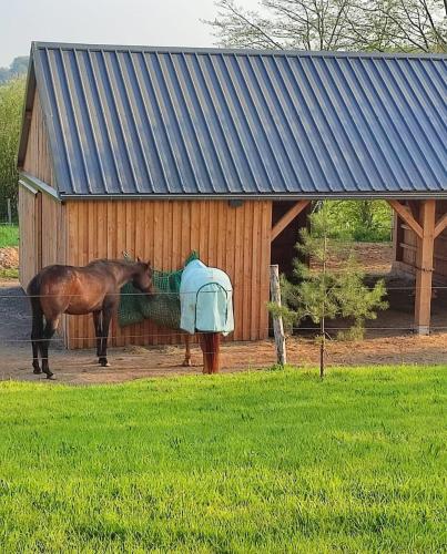 a horse standing in front of a building at Fredhousedurbuy 1 in Durbuy