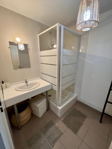 une salle de bain avec un lavabo et une douche dans l'établissement Cassis - Studio terrasse - Centre Dijon BSB Jouvence, à Dijon