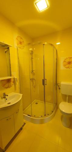 a bathroom with a shower and a toilet and a sink at Pensiunea Cheile Bicazului in Bicaz Chei