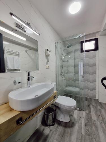 a bathroom with a sink and a toilet and a shower at Picasso in Shekvetili