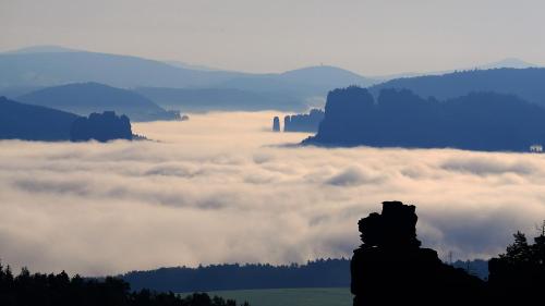 アパートメントの近くで見られる自然の景観