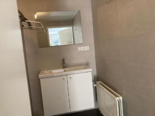 a bathroom with a sink and a mirror at Kustverhuur, Park Schoneveld, Duinroos 099 in Breskens