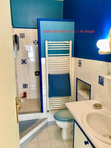une salle de bain avec toilettes, lavabo et douche dans l'établissement la maison de Nathalie, à Menglon