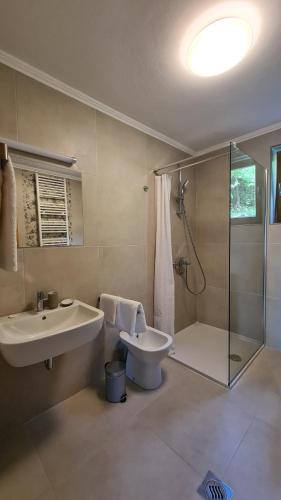 y baño con lavabo, ducha y aseo. en Forestside House Gacka, en Sinac