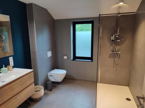 a bathroom with a shower and a toilet and a sink at Fredhousedurbuy 2 in Durbuy