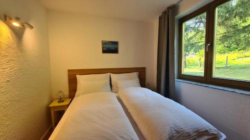 um quarto com 2 camas e uma janela em Forestside House Gacka em Sinac