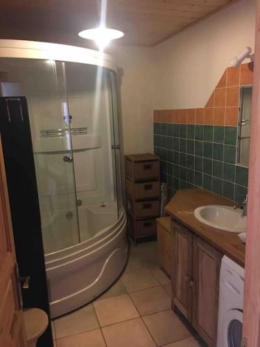 une salle de bain avec douche et lavabo dans l'établissement Très Grand Gîte équipé à la montagne, à Le Glaizil