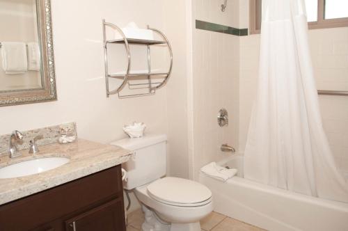 a bathroom with a toilet and a sink and a shower at Laguna Shores Studio Suites in Laguna Beach