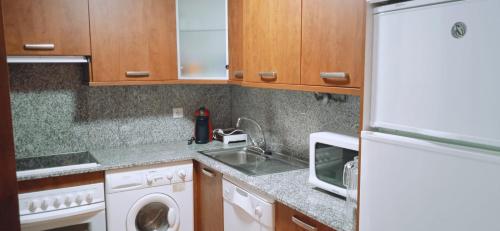 cocina con fregadero y lavadora en Apartamentos Nevados 28311, en Anciles