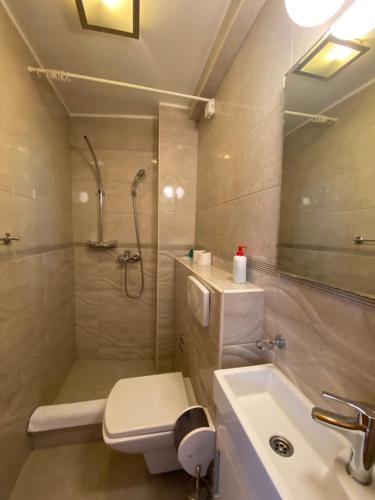 a bathroom with a shower and a toilet and a sink at Hotel Berr in Sarajevo