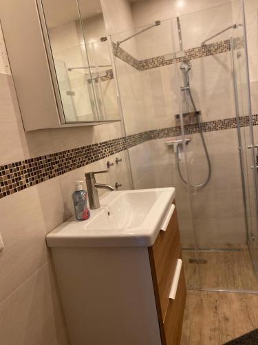 a bathroom with a sink and a shower at Ferienhaus Pepe in Graal-Müritz