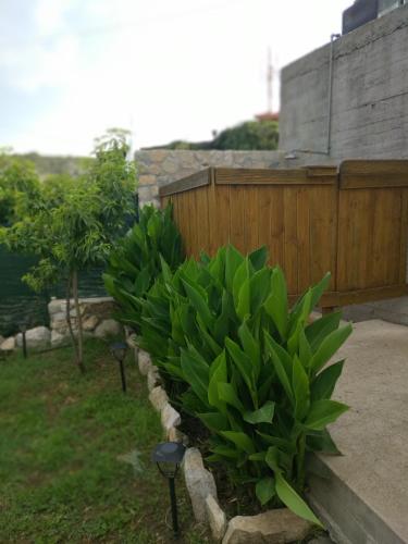 Gallery image of Palm Villa in Astris