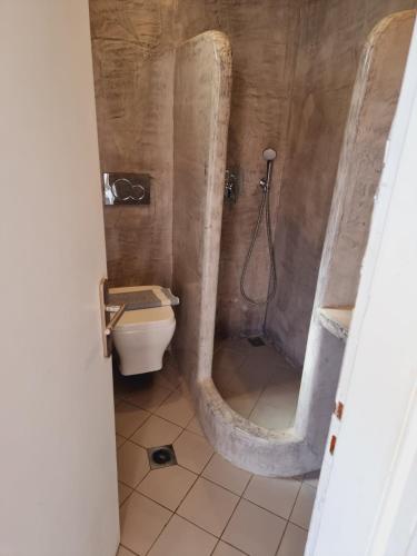 a bathroom with a shower and a toilet in it at Sunrise Studios in Perissa in Perissa