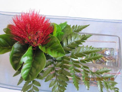 a red flower in a glass vase with green leaves at Tipi and Bobs Waterfront Lodge in Tryphena