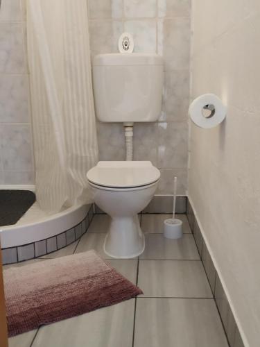 Koupelna v ubytování Apartmani ZP44