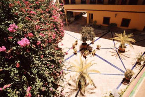 uma vista sobre um jardim com palmeiras e flores em Reposo Sweet Home & Free Parking em Sevilha