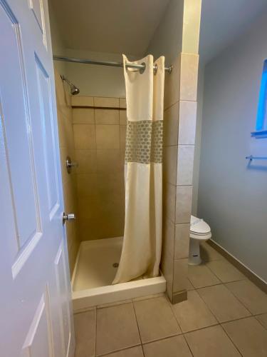 a shower with a shower curtain in a bathroom at Budget INN At The Heavenly Gondola in South Lake Tahoe
