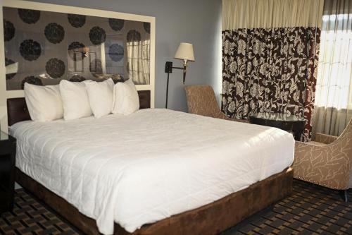 a hotel room with a large bed and a chair at Budget INN At The Heavenly Gondola in South Lake Tahoe