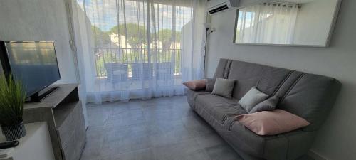 un salon avec un canapé et une télévision dans l'établissement Studio proche centre et plage avec clim et parking, à La Grande Motte