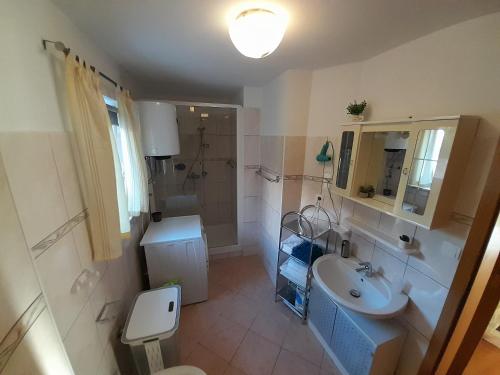a bathroom with a sink and a toilet and a shower at Solis in Sveti Vid-Miholjice