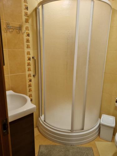 un bagno con doccia e lavandino di Barbora apartament a Druskininkai