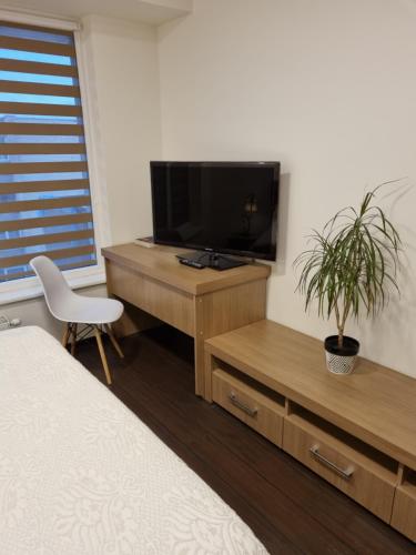 Televizorius ir (arba) pramogų centras apgyvendinimo įstaigoje Barbora apartament