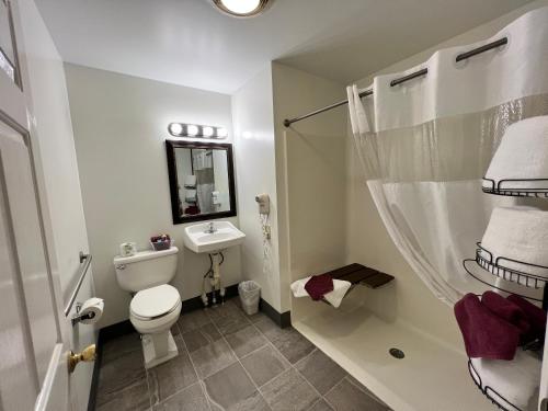 a bathroom with a toilet and a sink and a shower at Inn at Cemetery Hill in Gettysburg