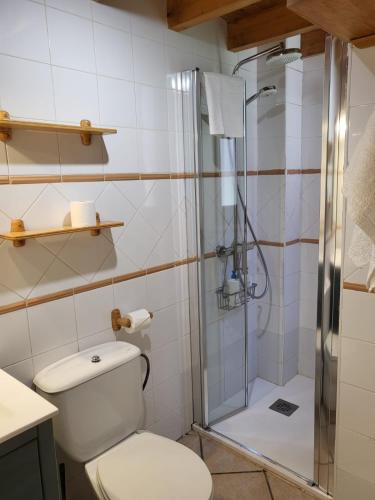 a bathroom with a toilet and a shower at Estudio 2-4 personas en Vielha-Baqueira in Vielha