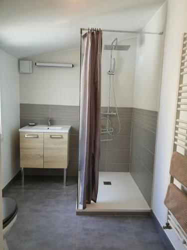 a bathroom with a shower with a toilet and a sink at La Maison du Main Coon in Rezé