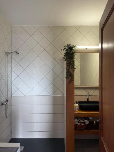ein Bad mit einer Dusche und einem Waschbecken in der Unterkunft Apartamento La Higuera in Güime