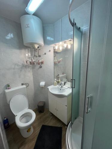 Un baño con inodoro, lavabo y ducha. en Buono apartment, en Zadar