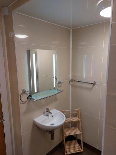 a bathroom with a sink and a mirror at Apartment above Sweetharts bakery and coffeeshop in Blackhill, Durham in Shotley Bridge