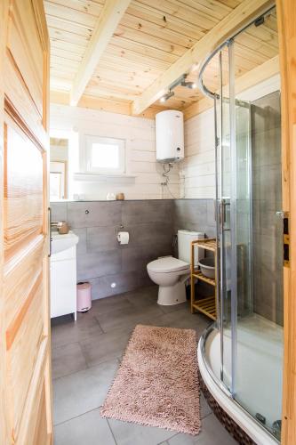 a bathroom with a glass shower and a toilet at Przystanek Rydzówka - domki na Mazurach in Srokowo