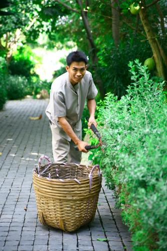 a man standing next to a basket at Villa Aria Boutique Muine in Mui Ne