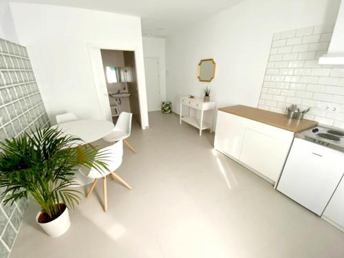 a kitchen with white cabinets and a table and a plant at Villamartin Hotel GHB in Orihuela Costa