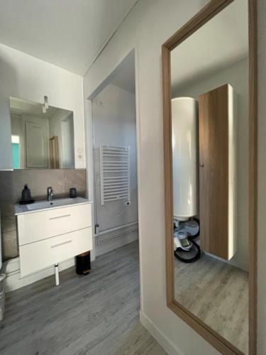 a bathroom with a sink and a mirror at Appartement hypercentre Fontainebleau in Fontainebleau